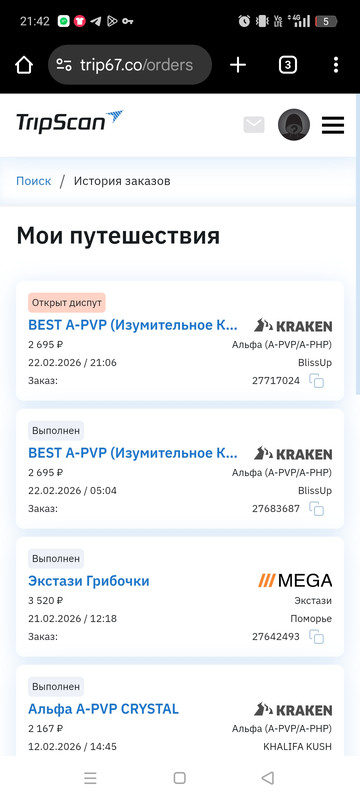 Screenshot 2026 02 22 21 42 49 02 40deb401b9ffe8e1df2f1cc5ba480b12