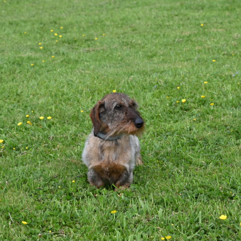 [Image: IMG-20250501-WA0019.jpg]