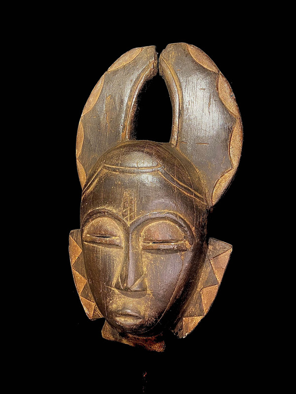 large image 7
