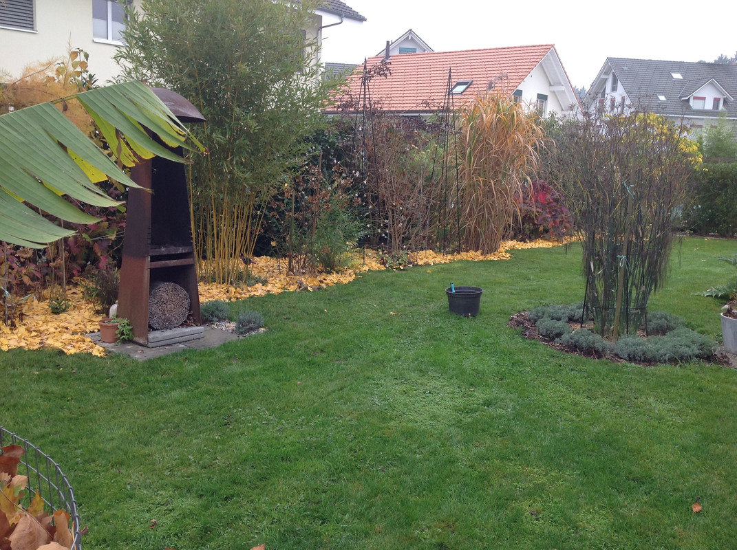 Gynko Laub 11.11 (2)