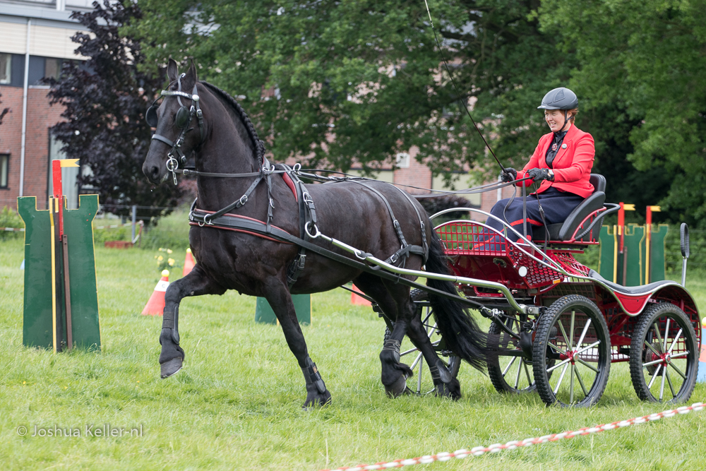 MG-9942vaardigheid-dressuur-nienoord-2022