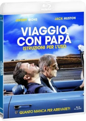 Viaggio con papà: Istruzioni per l'uso (2019) HD 720p DTS+AC3 ITA ENG SUB