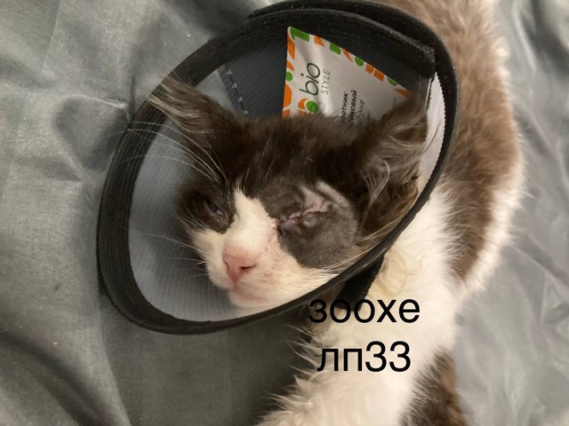 56AEBAFD-2AF8-45AA-88B4-945AC8F1DC77