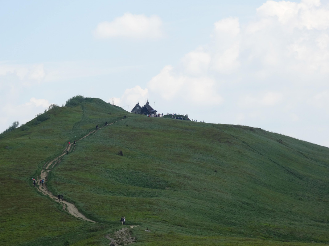 032 - DSC00873 (Ace79)