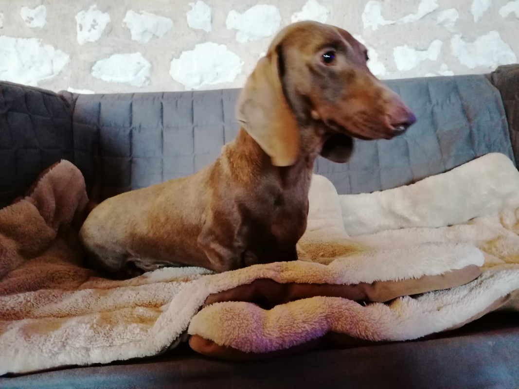 [Image: IMG-20211120-WA0002.jpg]