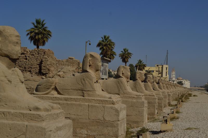 Al fin, Egipto. - Blogs de Egipto - Llegada a Luxor: Valle de los Reyes, templos y palacios (13)