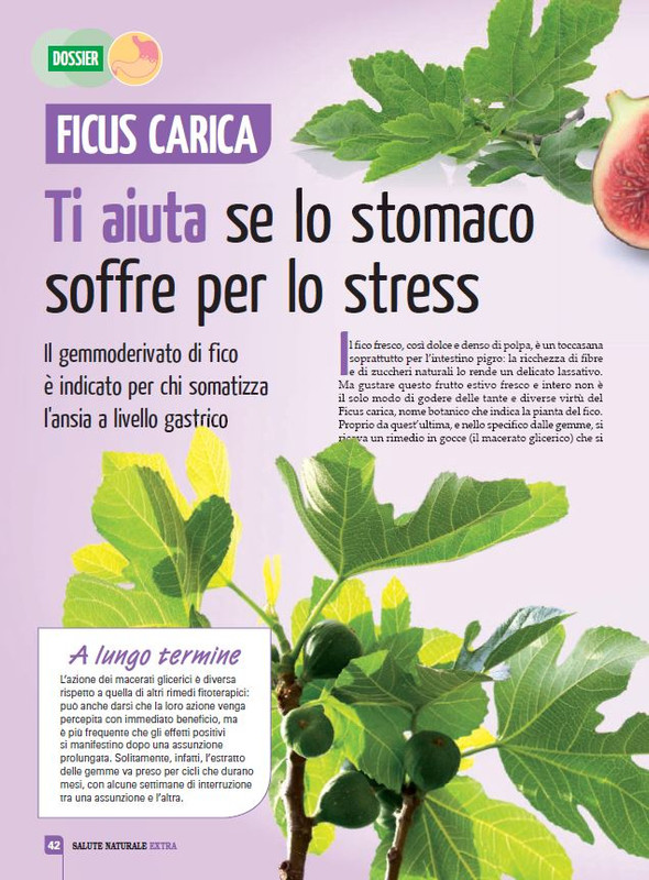 Sal Nat Ext Ott-Nov 2021 (5)