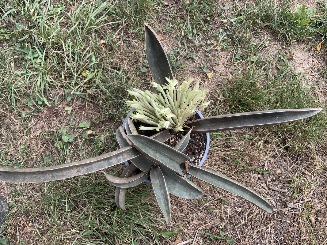 C5554567-852E-4B1F-A5FA-5EAFBF199516