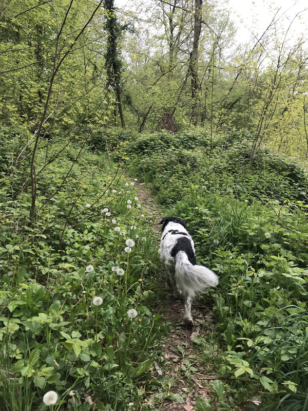 89363037-4040-42B7-966A-C4F50A35F650