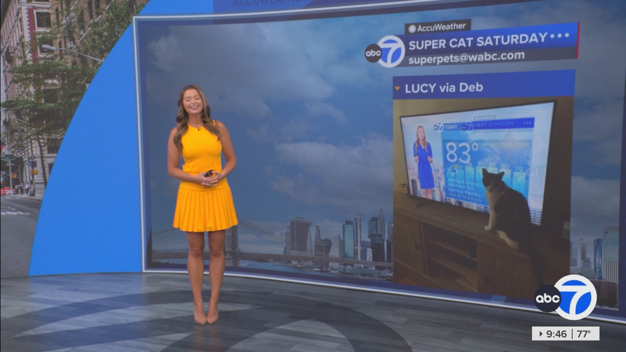 Eyewitness News This Morning_20250719_14001500.ts_snapshot_46.46.811