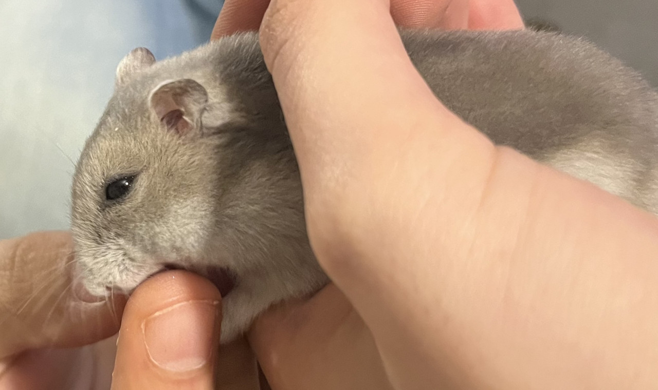 E9A6654A-3EA4-44EB-BEB0-446AA2307620