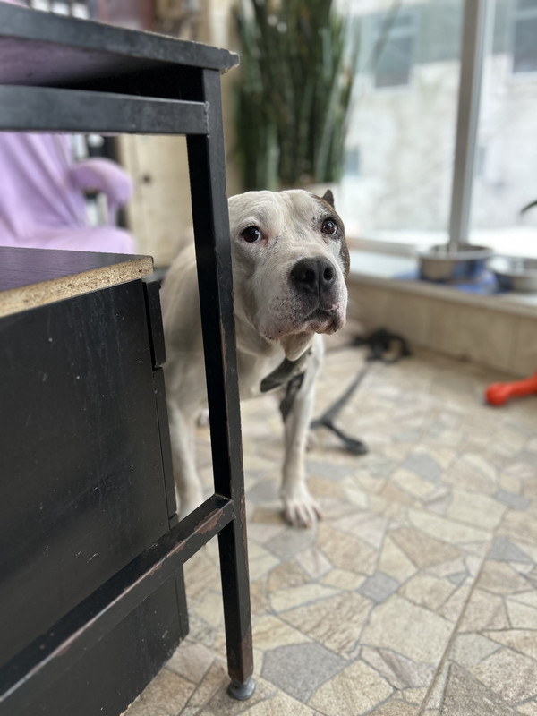 C8214512-EC1C-4A0D-9814-513BD1033CD3