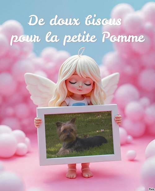 pixiz 02 12 2025 03 00 51