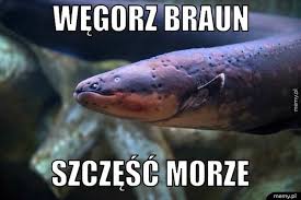 Obrazek