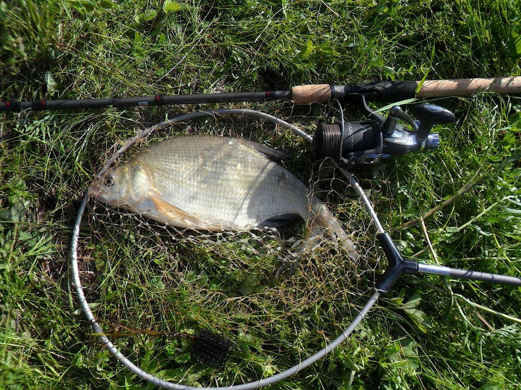 Кочебахтино 13-14.06.13 г 00