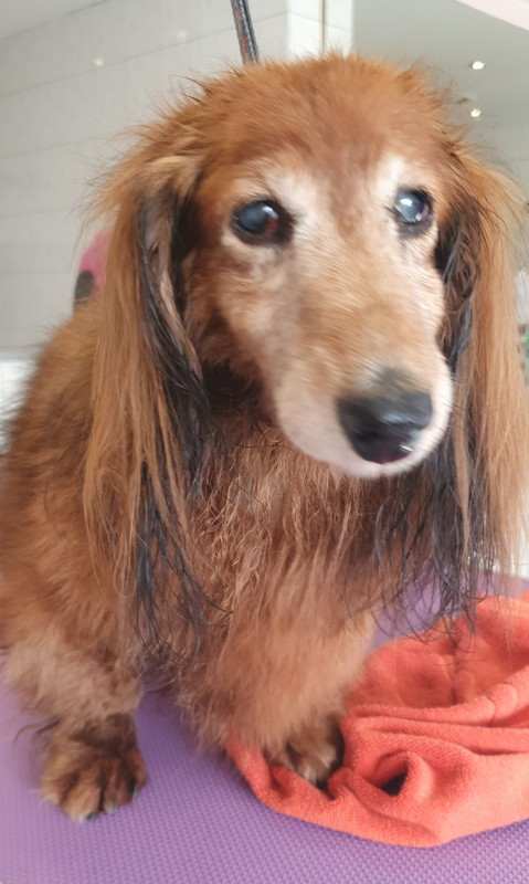 [Image: 20221102-145335.jpg]