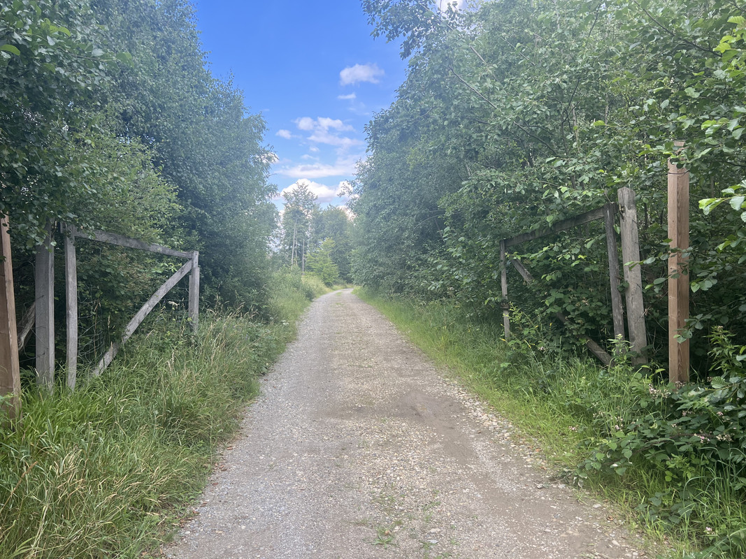 neue Pfeiler für Tore rechts und links