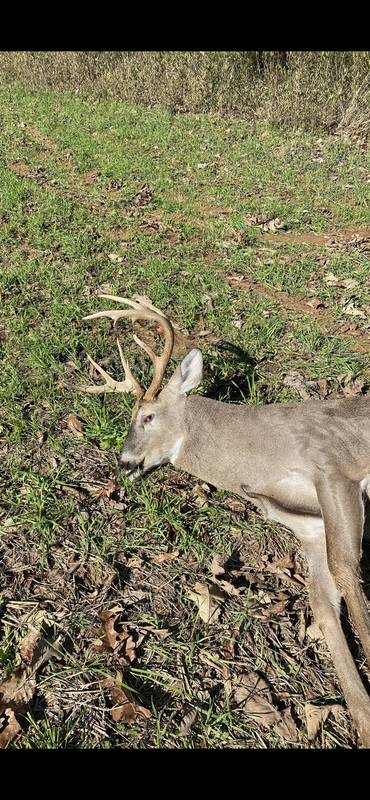 4375C0DA-5697-4BCC-9CC3-BB61889877B6