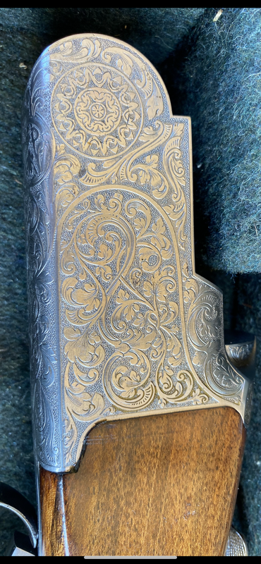 5310F2A1-D7FD-4923-A9D4-4D5D22A6AD0B