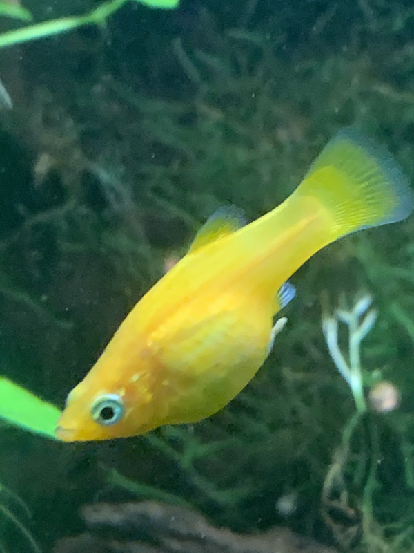 033A8E23-57DE-4CA4-8A55-77F02E8C7004