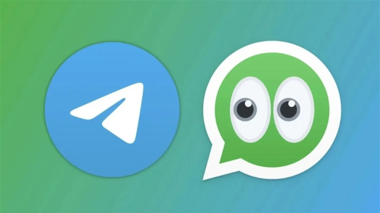 ¿Cuáles son las características de los canales de WhatsApp?