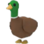 Drake