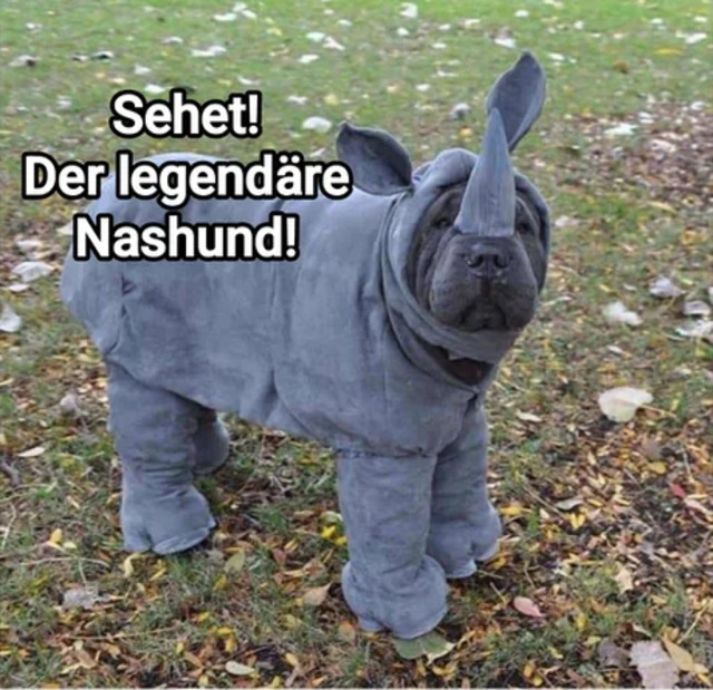picdump-kw35-2025-042.jpg