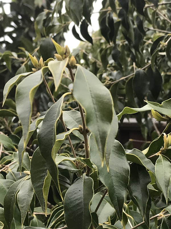 9382F691-6DF5-47DA-A480-D5FB2DD1FF89