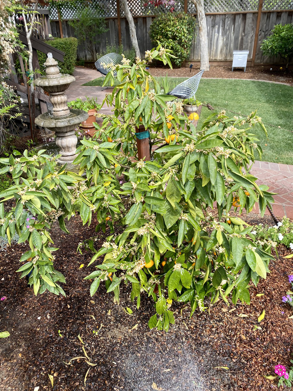 437746C7-06B3-425A-B4A8-EBE990618879