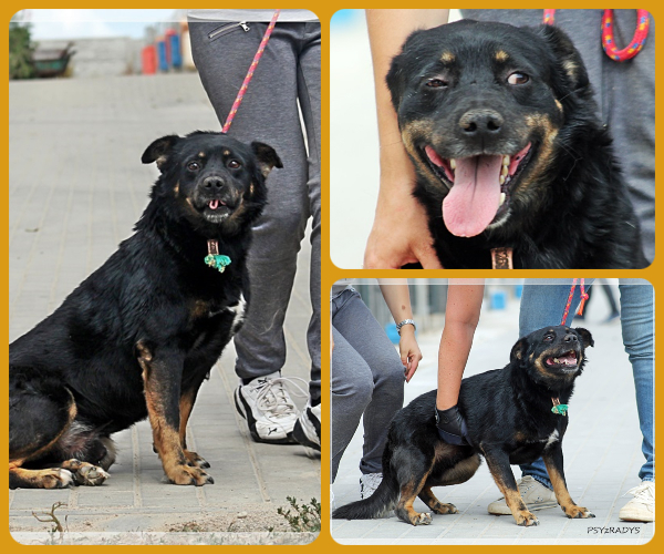 BeFunky-collage (18)