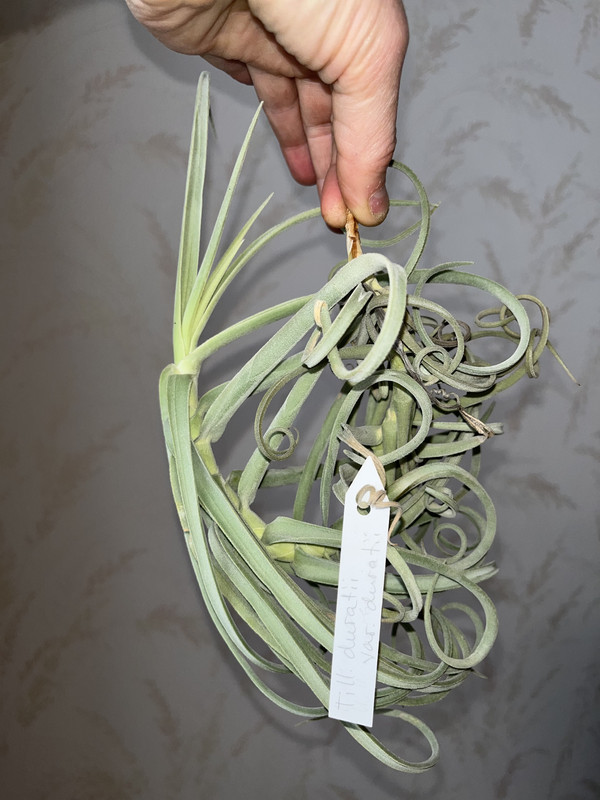 AB33D2D3-6605-46DA-BD84-55A5CC2A97A2