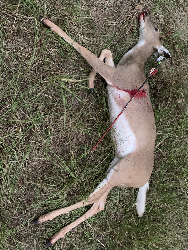 2BBD4361-FAB1-4508-913C-72DCD557BA7A