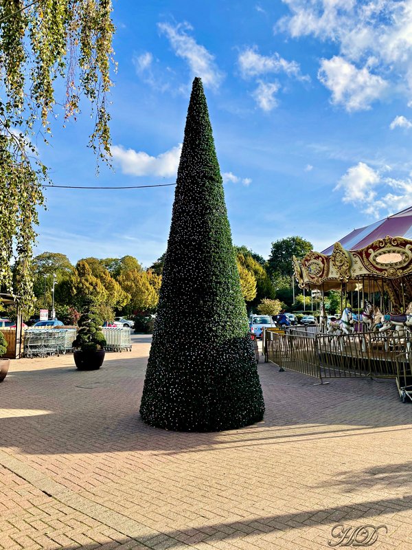 xmas-tree-october-garden-centre-HD.jpg