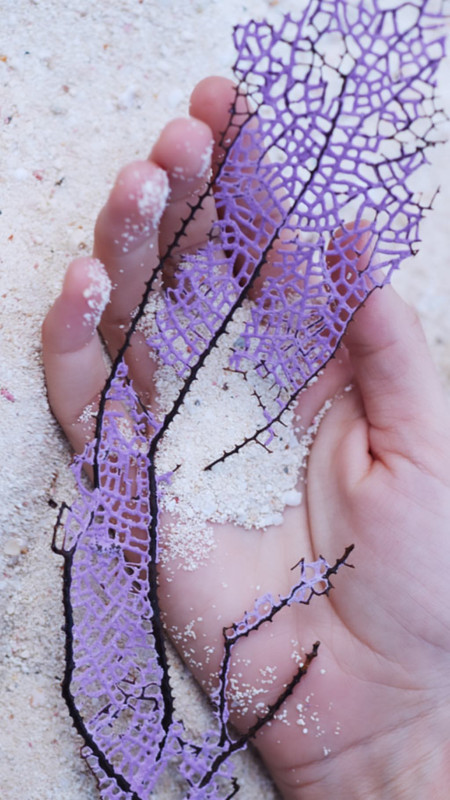 angelcandices~1555956810~2027835174867555432_43114731