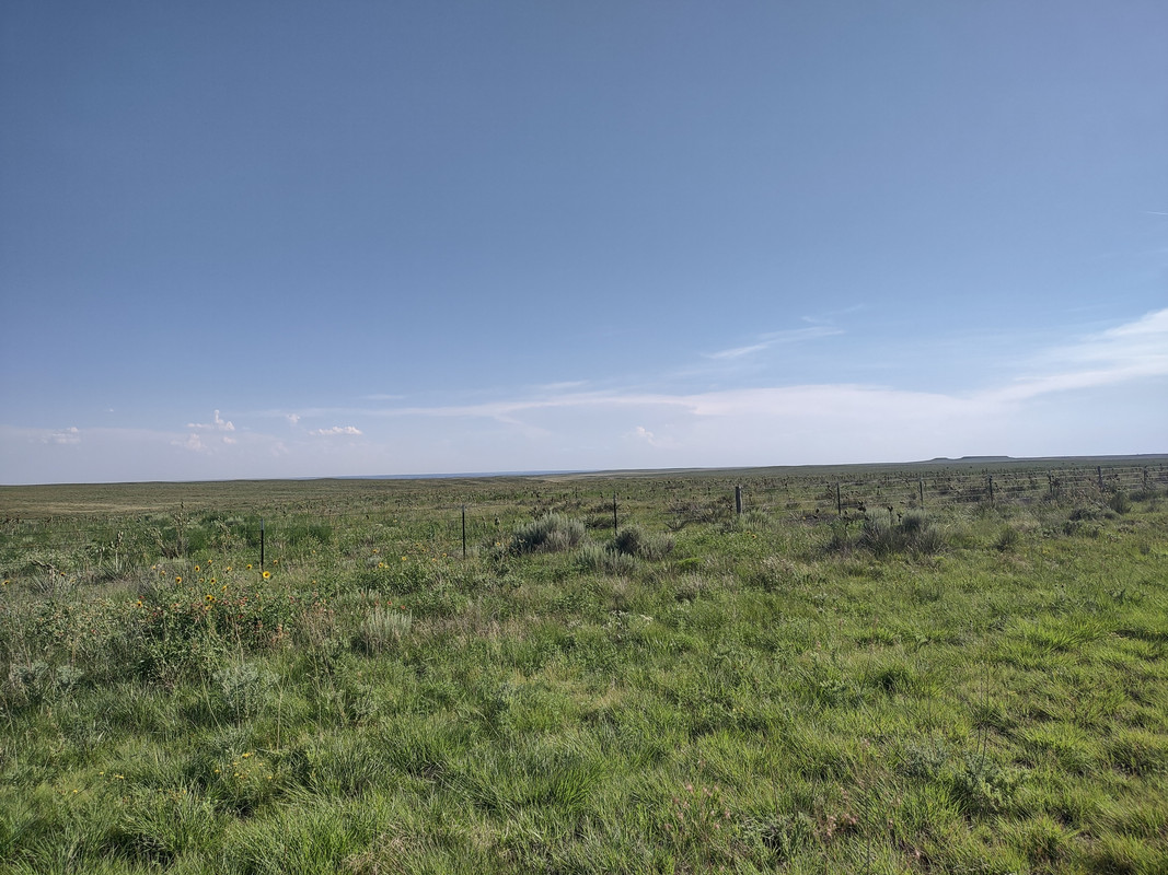 IMG_20250613_180307566_HDR