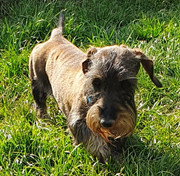 [Image: 20200610-083434.jpg]