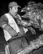 singlebungle1472-20221202-221248-013