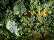 03004_14-15-3TH-8030082