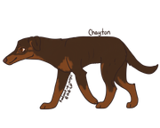 2. Chayton ©265987@Wolfplay