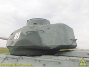 DSCN5991