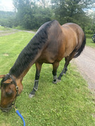 71113721755__834F1CE4-DD1D-488F-A8B6-ABB608CB6CFE