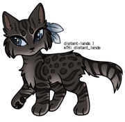 charcoal spotted bengal