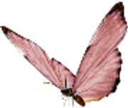 0-1c0107-a923b533-orig