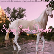 554E25F1-DDEB-48D3-8A7D-177DC4290BAC