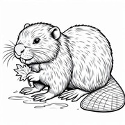 Beaver-with-Leaf-Coloring-Page.jpg