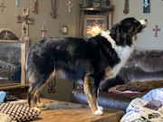 CDDE6A96-5E32-447E-9EEA-6412F8D5E96D