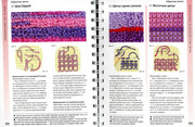 Betti-Barnden-Vyshivka-Entsiklopedia-103
