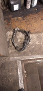 IMG-20241219-093827.jpg