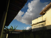 16.1.chilling on the window