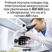https://i.postimg.cc/ZvdCqycH/005.png
